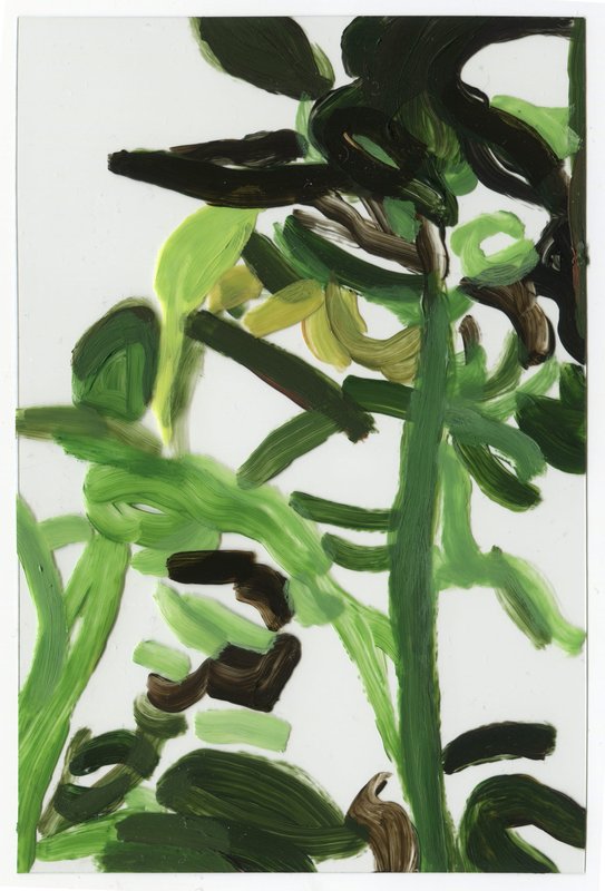 Alex Fischer, Vii B2 Acrylic on Acrylic, 2015-02-23